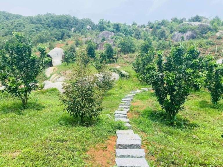 Có được xây nhà trên đất vườn không?