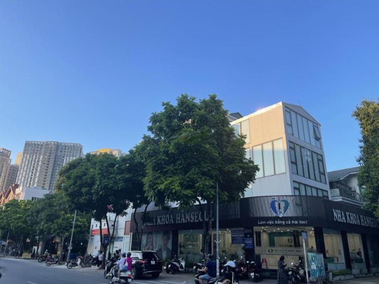 Động lúc giá và các yếu tố tiềm năng