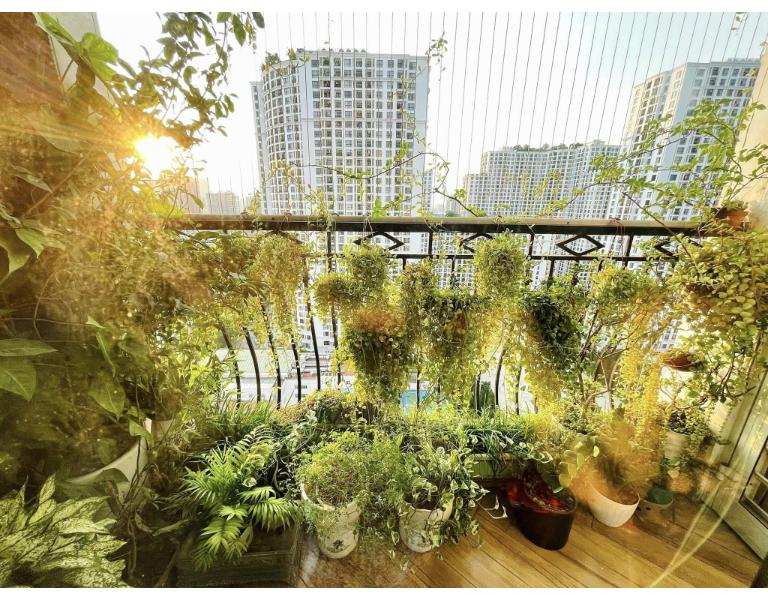 nhà hướng nắng gắt nên chọn giờ nhập trạch vào buổi sáng để tránh nóng