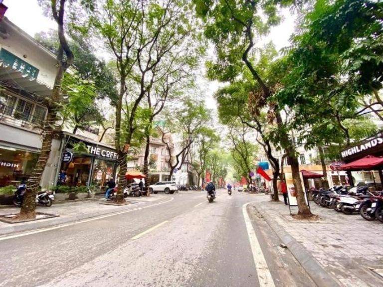 Loại hình Bất động sản tiềm năng tại Dịch Vọng Hậu