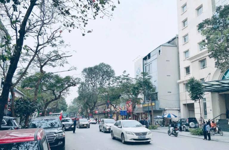 Môi trường sống ở phố Nguyễn Thái Học, Ba Đình