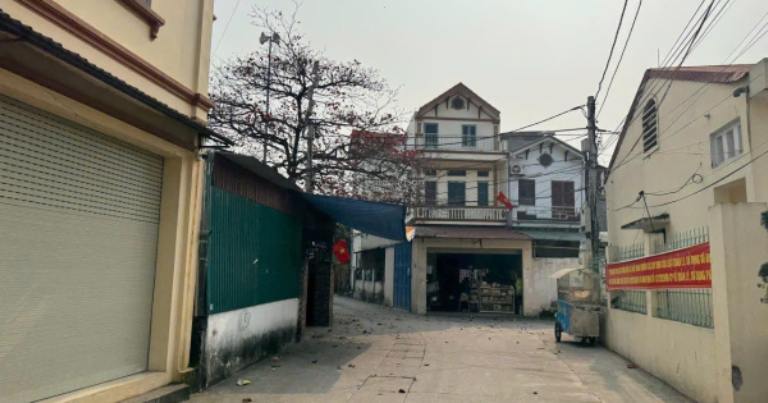 Nhà cấp 4 khu Kiêu Kỵ Gia Lâm