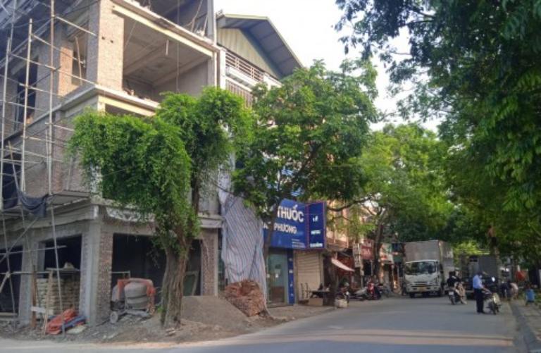 Nhà đất mặt phố tại đường Cổ Bi, Gia Lâm