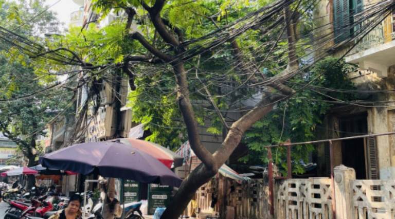 Nhà phố Huế Hai Bà Trưng