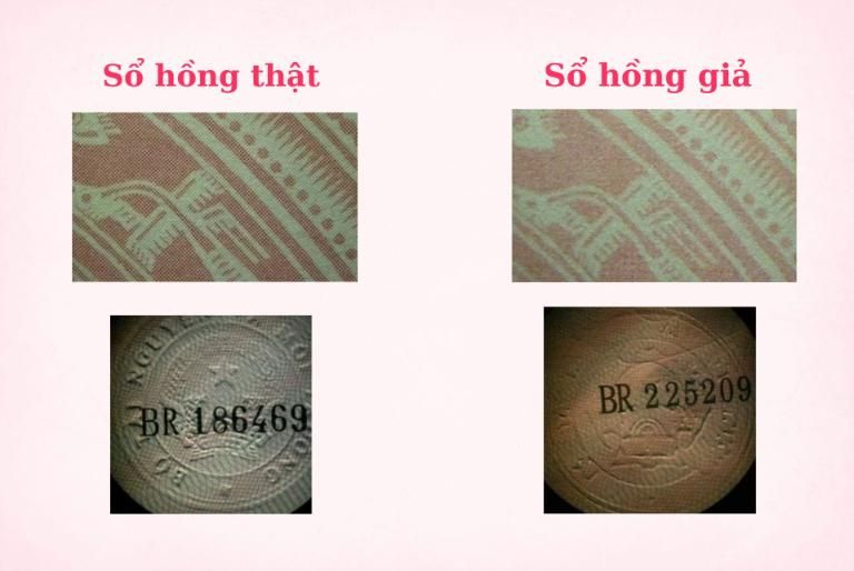 phan-biet-so-hong-that-so-hong-gia.jpg