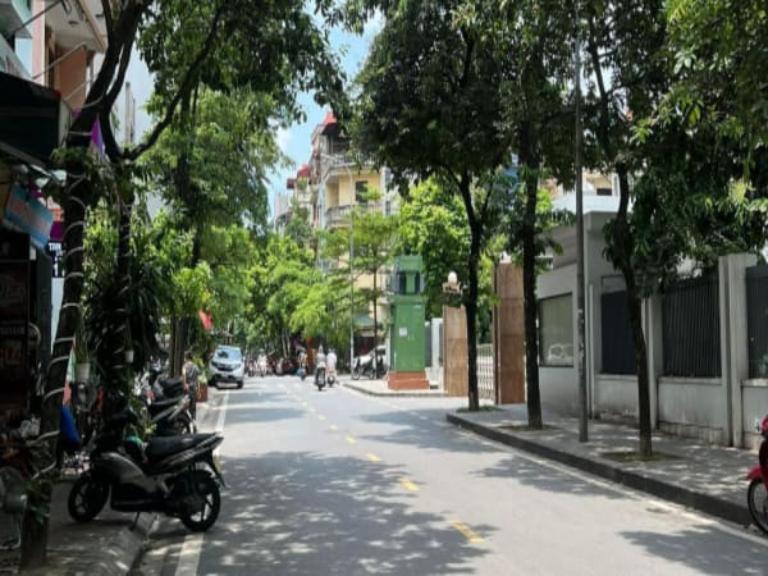 Quan sát môi trường xung quanh nhà ở Trần Quang Diệu