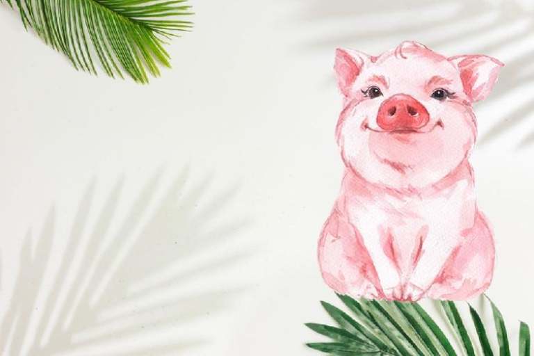 Tuổi hợi hợp với hướng nhà nào được nhiều người tìm hiểu